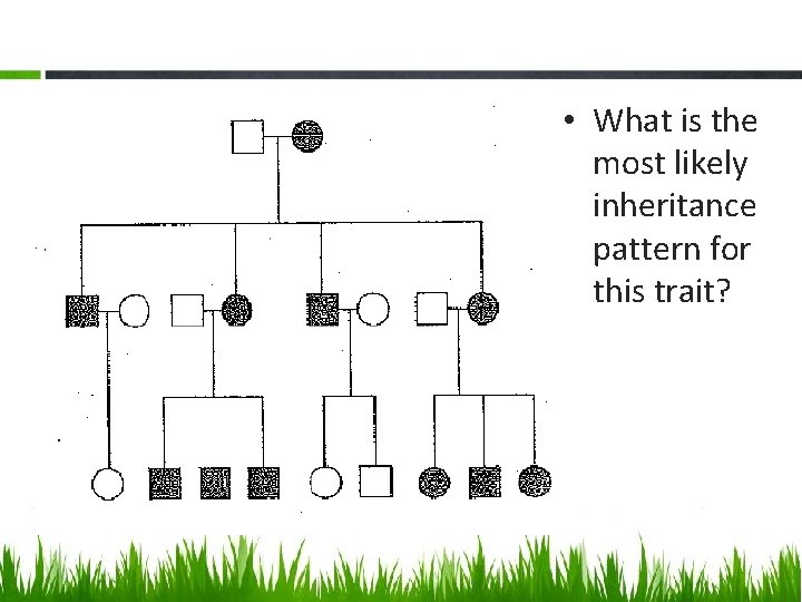  • What is the most likely inheritance pattern for this trait? 