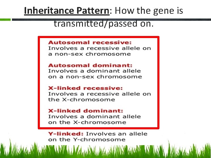 Inheritance Pattern: How the gene is transmitted/passed on. 