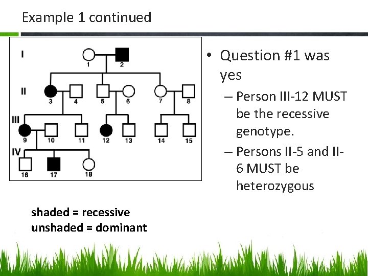 Example 1 continued • Question #1 was yes – Person III-12 MUST be the