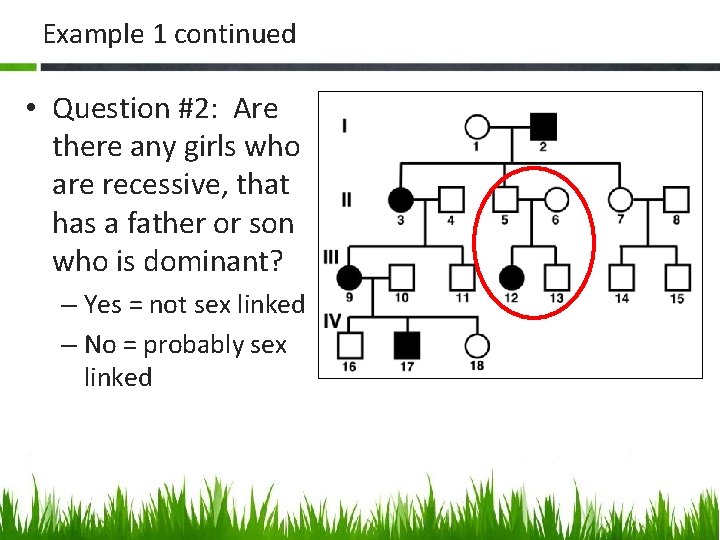 Example 1 continued • Question #2: Are there any girls who are recessive, that