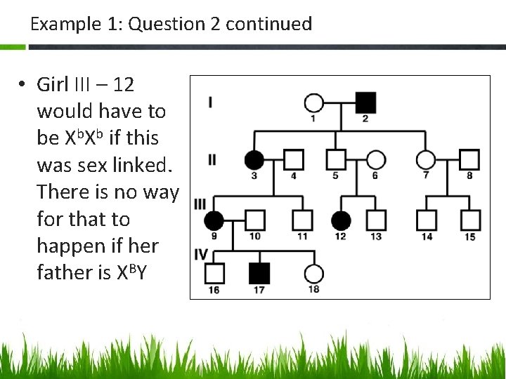 Example 1: Question 2 continued • Girl III – 12 would have to be