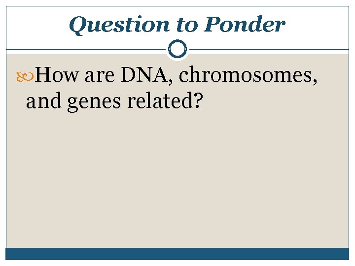 Question to Ponder How are DNA, chromosomes, and genes related? 