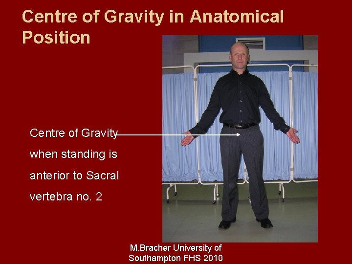 Centre of Gravity in Anatomical Position Centre of Gravity when standing is anterior to