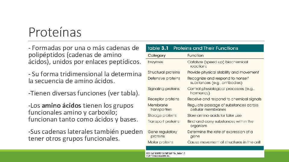 Proteínas - Formadas por una o más cadenas de polipéptidos (cadenas de amino ácidos),