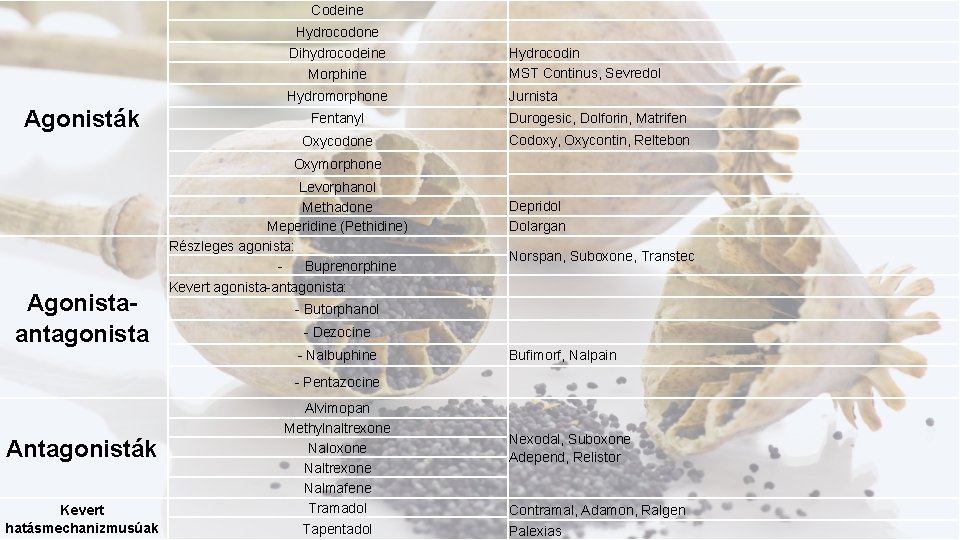 Codeine Hydrocodone Dihydrocodeine Morphine Hydromorphone Agonisták Hydrocodin MST Continus, Sevredol Jurnista Fentanyl Durogesic, Dolforin,