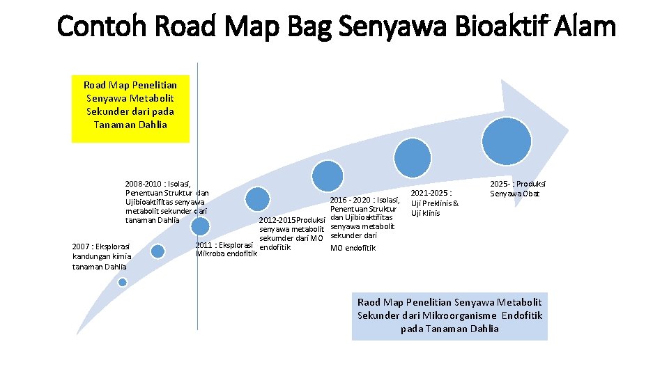 Contoh Road Map Bag Senyawa Bioaktif Alam Road Map Penelitian Senyawa Metabolit Sekunder dari
