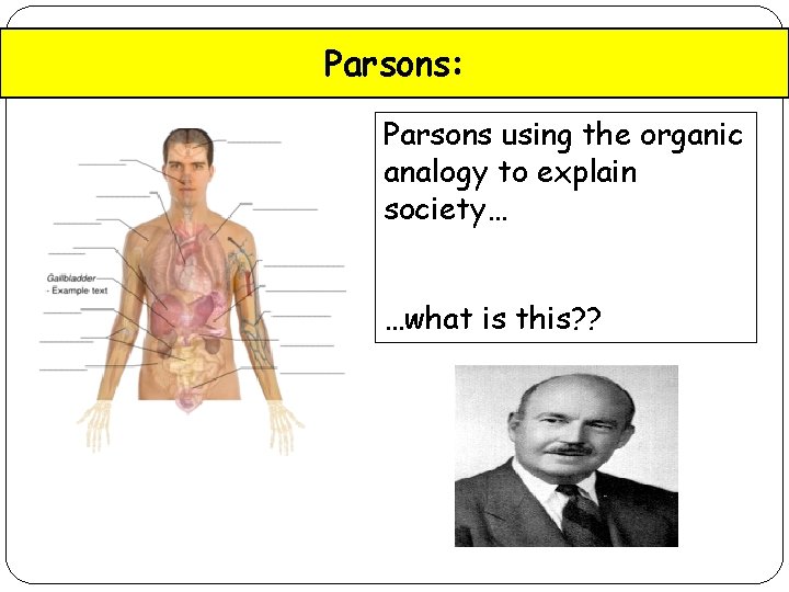 Parsons: Parsons using the organic analogy to explain society… …what is this? ? 