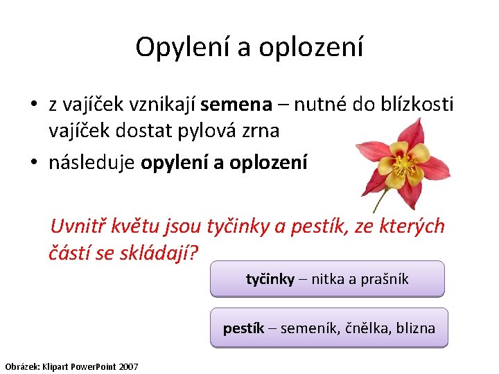 Opylení a oplození • z vajíček vznikají semena – nutné do blízkosti vajíček dostat