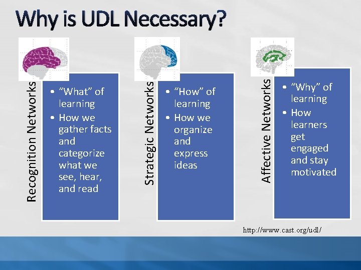  • “How” of learning • How we organize and express ideas Affective Networks