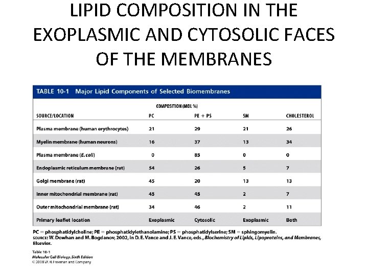 LIPID COMPOSITION IN THE EXOPLASMIC AND CYTOSOLIC FACES OF THE MEMBRANES 