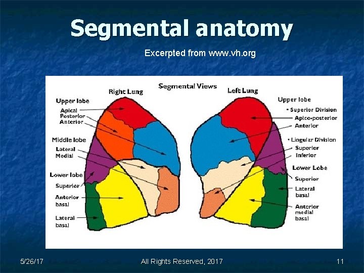 Segmental anatomy Excerpted from www. vh. org 5/26/17 All Rights Reserved, 2017 11 