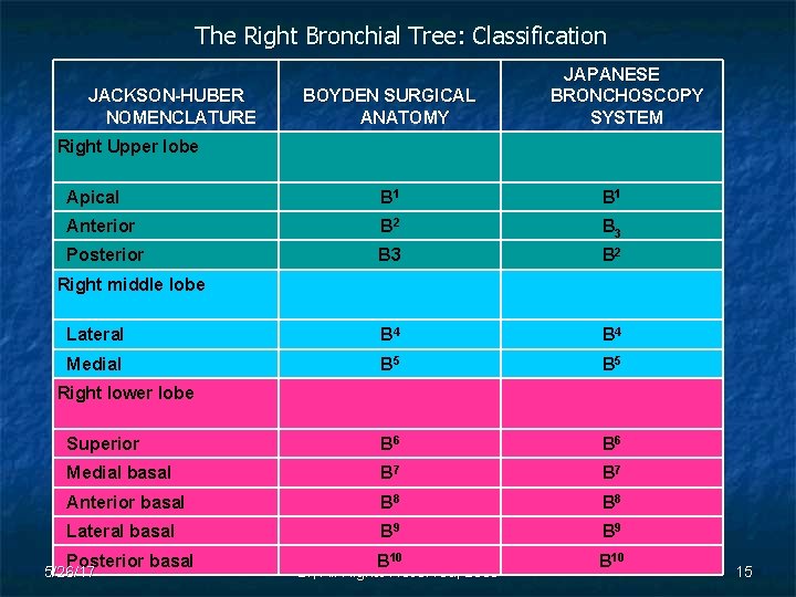 The Right Bronchial Tree: Classification JACKSON-HUBER NOMENCLATURE Right Upper lobe BOYDEN SURGICAL ANATOMY JAPANESE