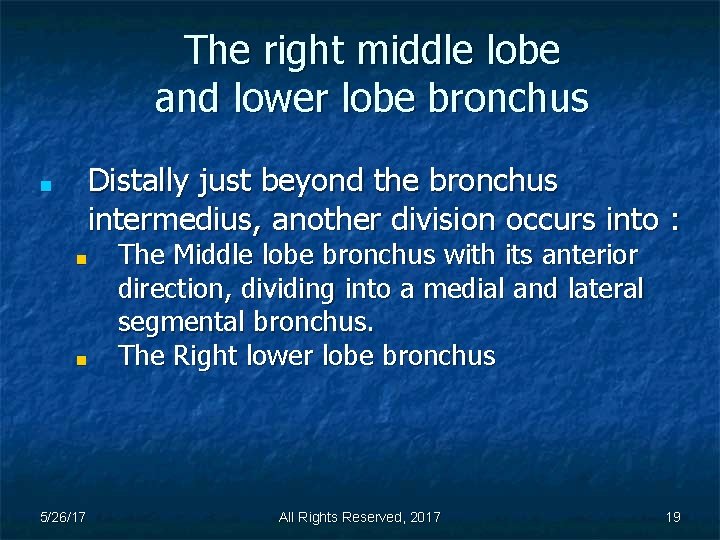 The right middle lobe and lower lobe bronchus Distally just beyond the bronchus intermedius,