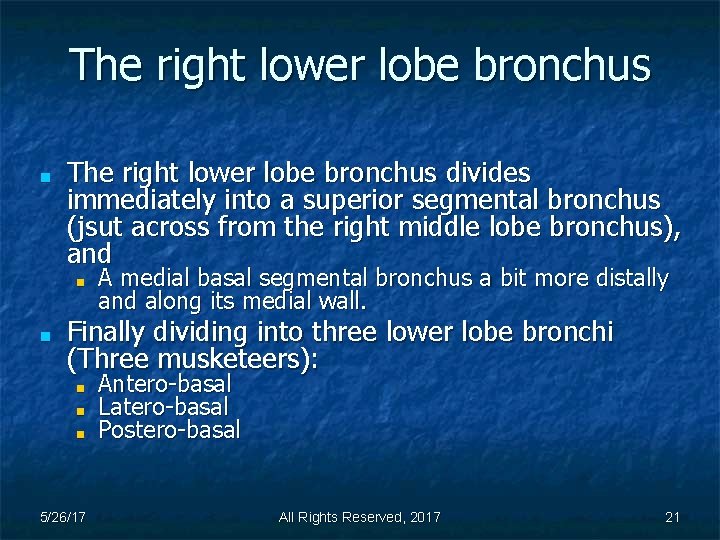 The right lower lobe bronchus ■ The right lower lobe bronchus divides immediately into