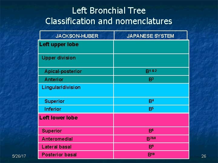 Left Bronchial Tree Classification and nomenclatures JACKSON-HUBER JAPANESE SYSTEM Left upper lobe   Upper
