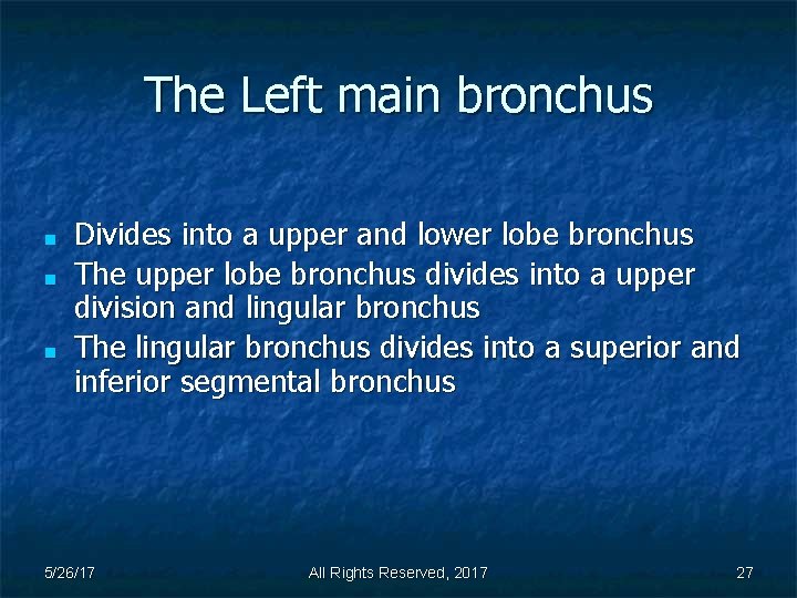 The Left main bronchus ■ ■ ■ Divides into a upper and lower lobe