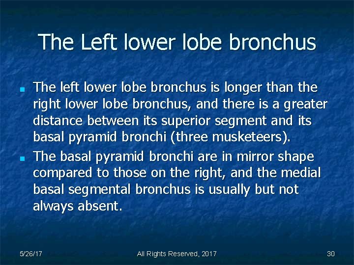 The Left lower lobe bronchus ■ ■ The left lower lobe bronchus is longer