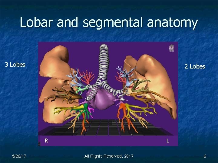 Lobar and segmental anatomy 3 Lobes 2 Lobes R 5/26/17 L All Rights Reserved,