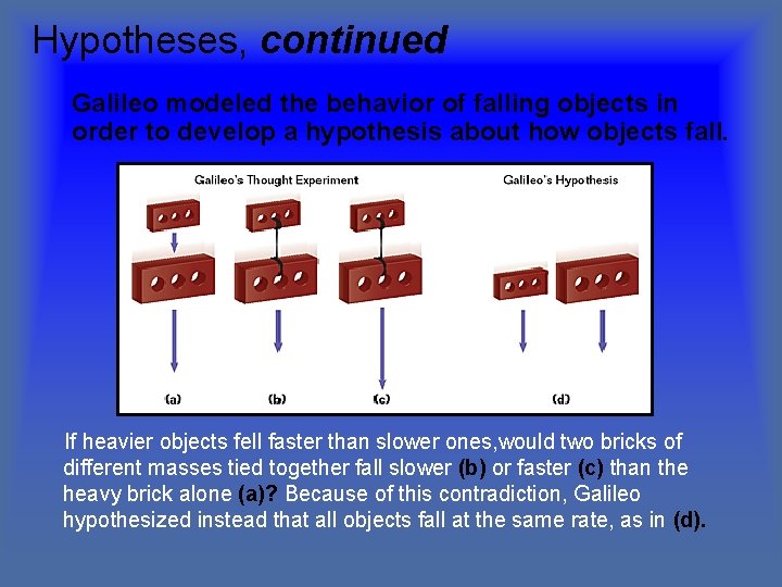 Hypotheses, continued Galileo modeled the behavior of falling objects in order to develop a