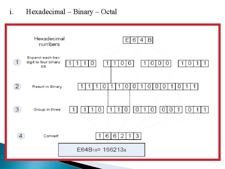 i. Hexadecimal – Binary – Octal 