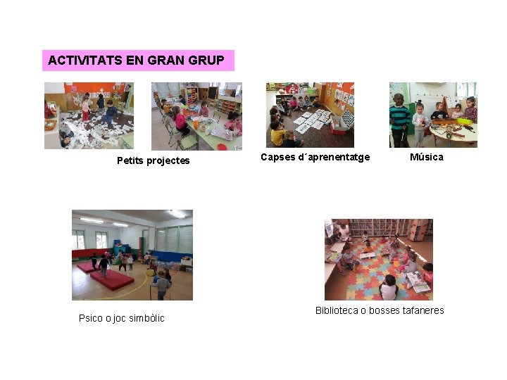 ACTIVITATS EN GRAN GRUP Petits projectes Psico o joc simbòlic Capses d´aprenentatge Música Biblioteca