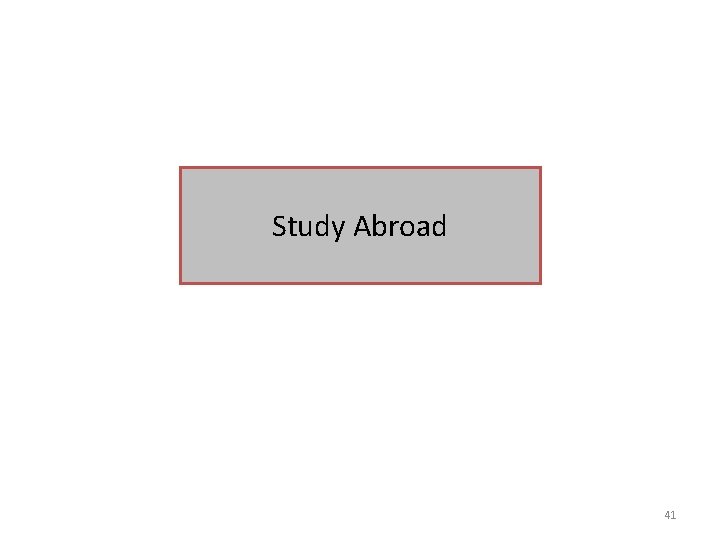 Study Abroad 41 