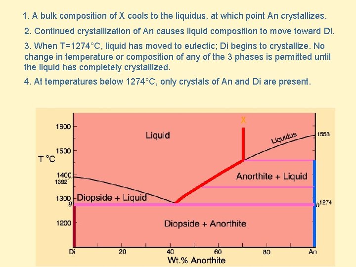 1. A bulk composition of X cools to the liquidus, at which point An