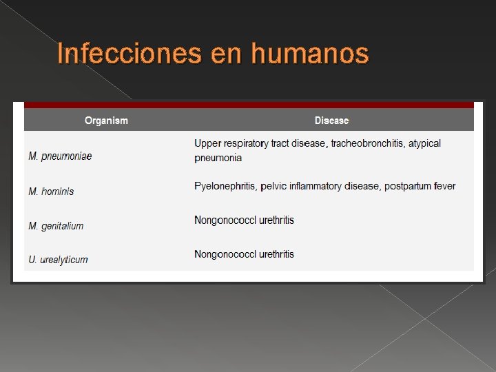 Infecciones en humanos 