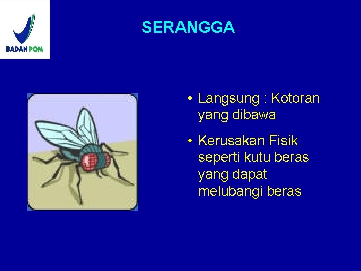 SERANGGA • Langsung : Kotoran yang dibawa • Kerusakan Fisik seperti kutu beras yang