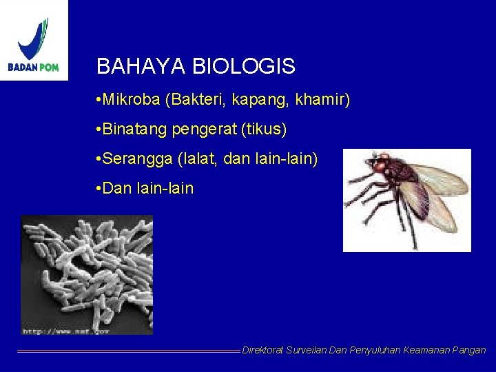 BAHAYA BIOLOGIS • Mikroba (Bakteri, kapang, khamir) • Binatang pengerat (tikus) • Serangga (lalat,