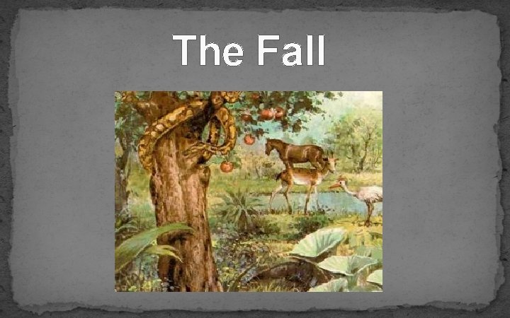 The Fall 