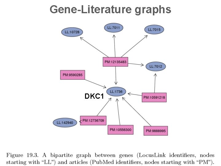 Gene-Literature graphs DKC 1 