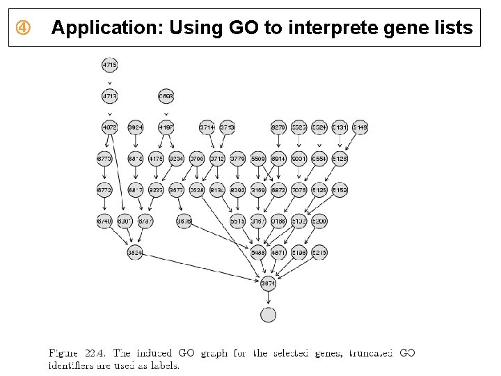 Application: Using GO to interprete gene lists Application: Using GO to interprete gene lists