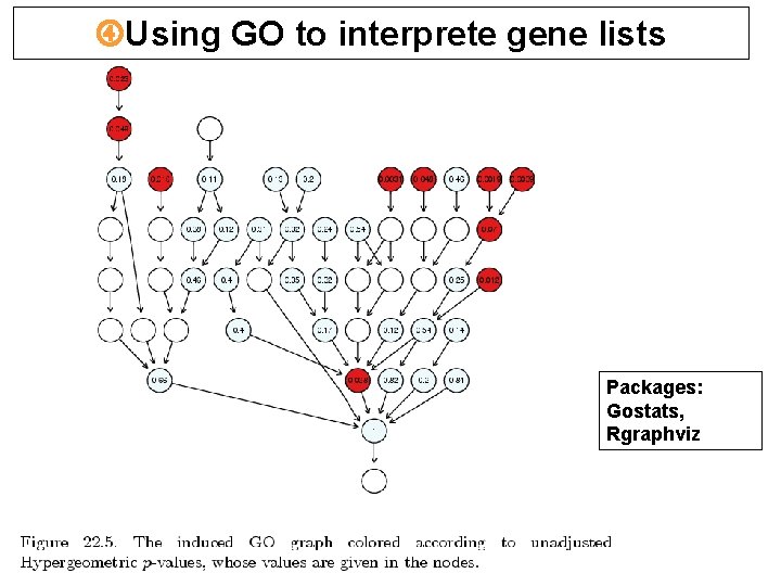 Using GO to interprete gene lists Packages: Gostats, Rgraphviz Using GO to interprete gene lists Packages: Gostats, Rgraphviz