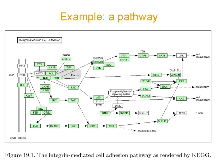 Example: a pathway Example: a pathway