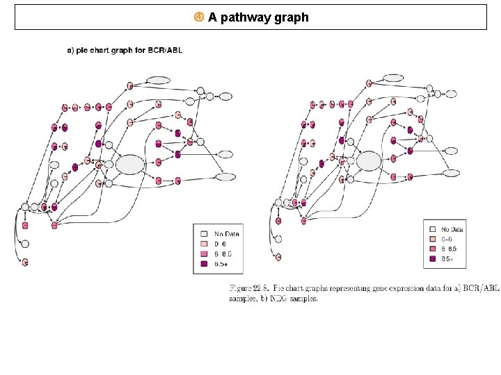 A pathway graph A pathway graph