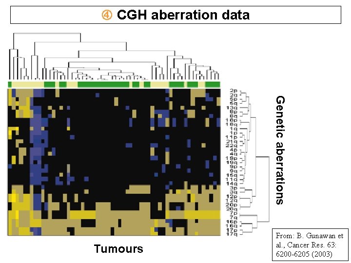 CGH aberration data Genetic aberrations Tumours From: B. Gunawan et al. , Cancer CGH aberration data Genetic aberrations Tumours From: B. Gunawan et al. , Cancer