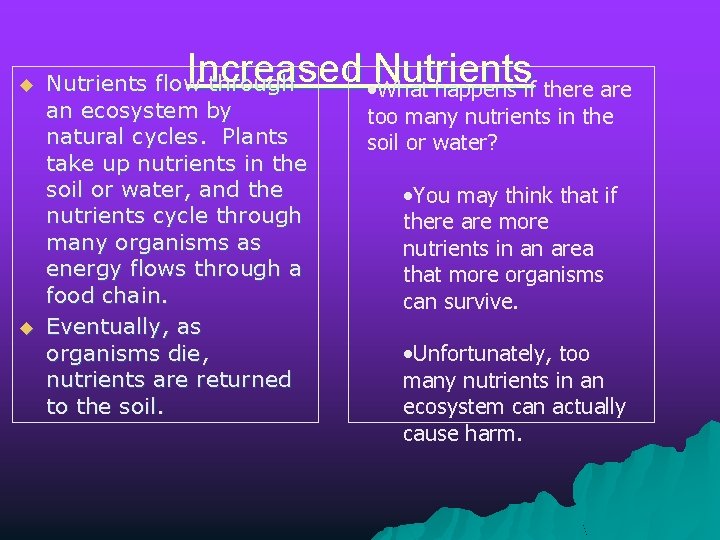u u Increased Nutrients • What happens if there are Nutrients flow through an