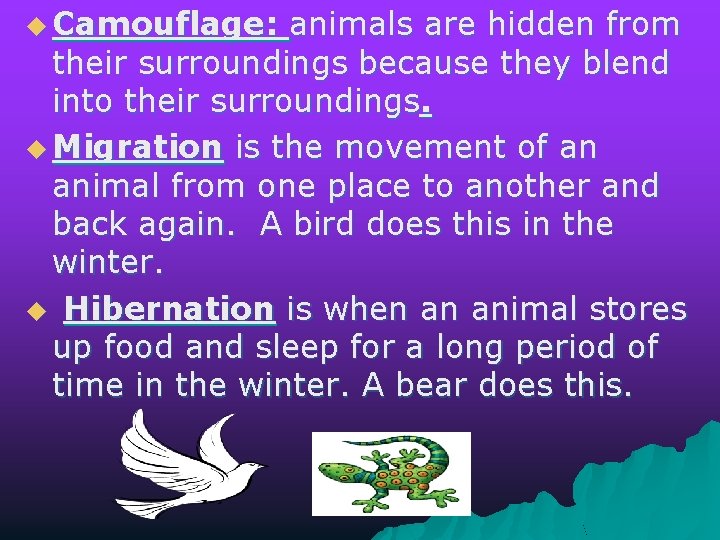 u Camouflage: animals are hidden from their surroundings because they blend into their surroundings.