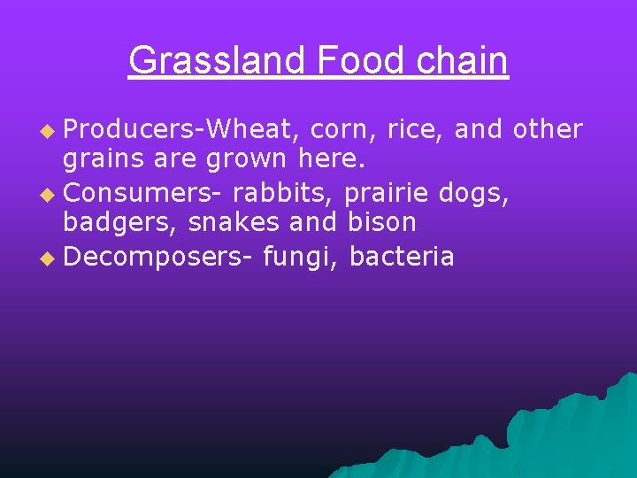 Grassland Food chain u Producers-Wheat, corn, rice, and other grains are grown here. u