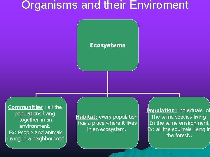 Organisms and their Enviroment Ecosystems Communities : all the populations living together in an