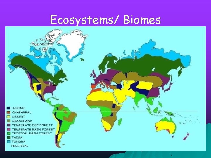 Ecosystems/ Biomes 