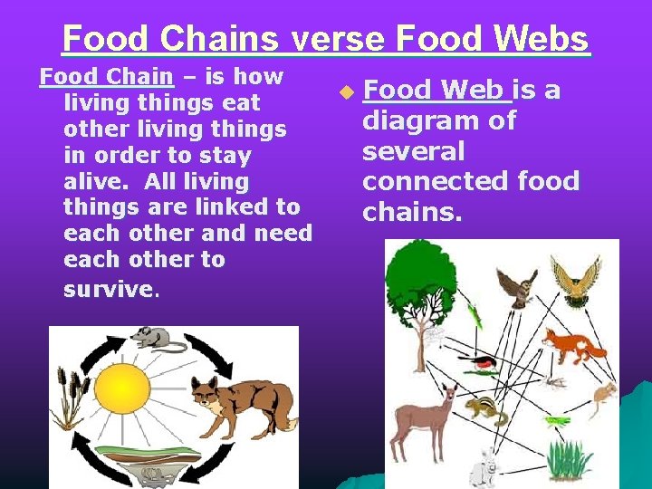 Food Chains verse Food Webs Food Chain – is how living things eat other