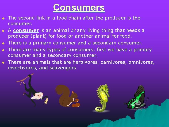 Consumers u u u The second link in a food chain after the producer