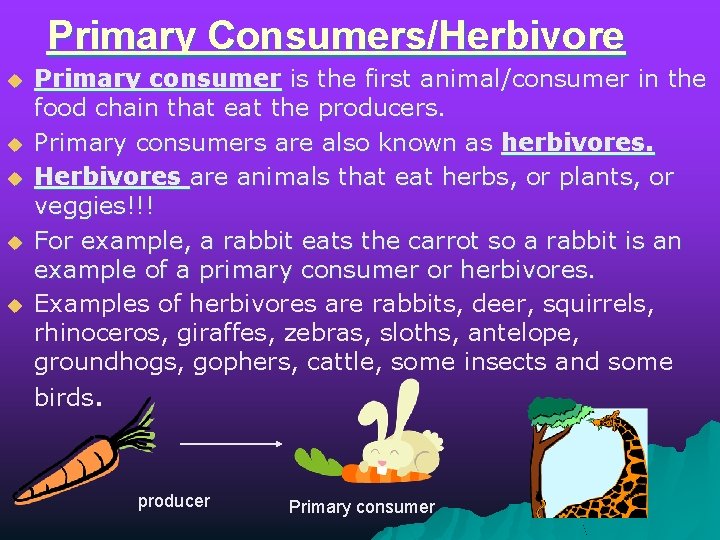 Primary Consumers/Herbivore u u u Primary consumer is the first animal/consumer in the food