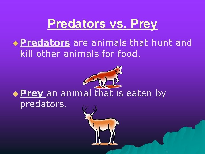 Predators vs. Prey u Predators are animals that hunt and kill other animals for