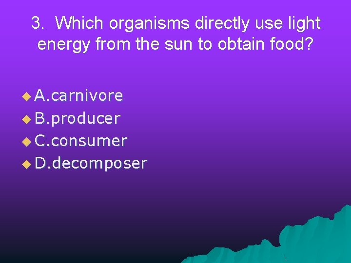 3. Which organisms directly use light energy from the sun to obtain food? u