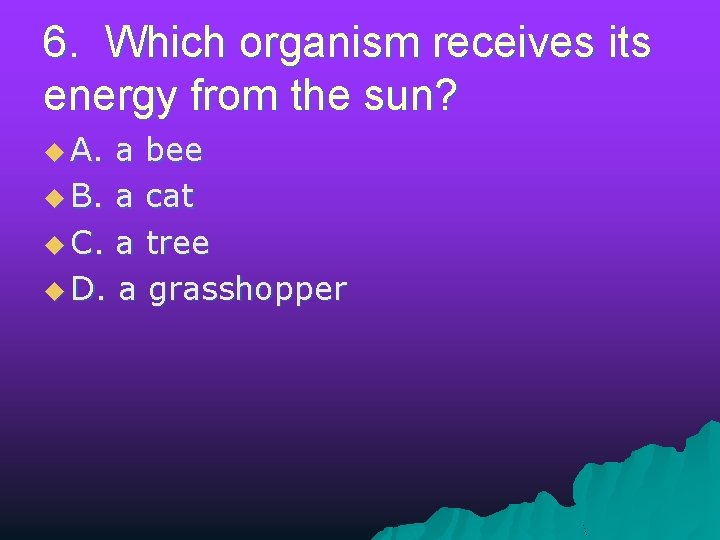 6. Which organism receives its energy from the sun? u A. a bee u