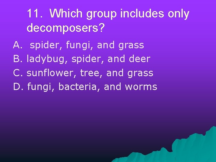 11. Which group includes only decomposers? A. spider, fungi, and grass B. ladybug, spider,