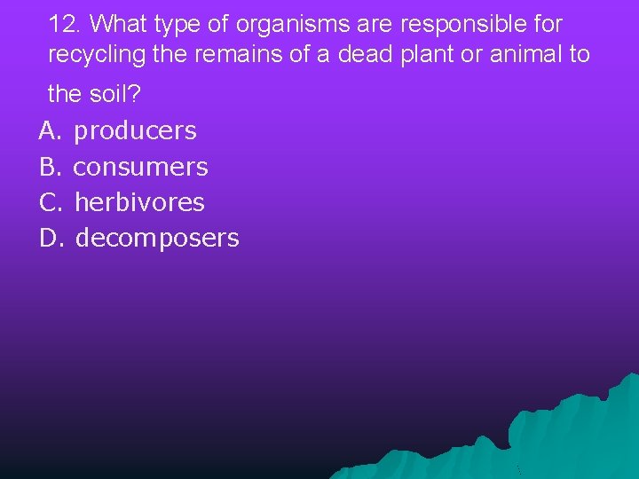 12. What type of organisms are responsible for recycling the remains of a dead